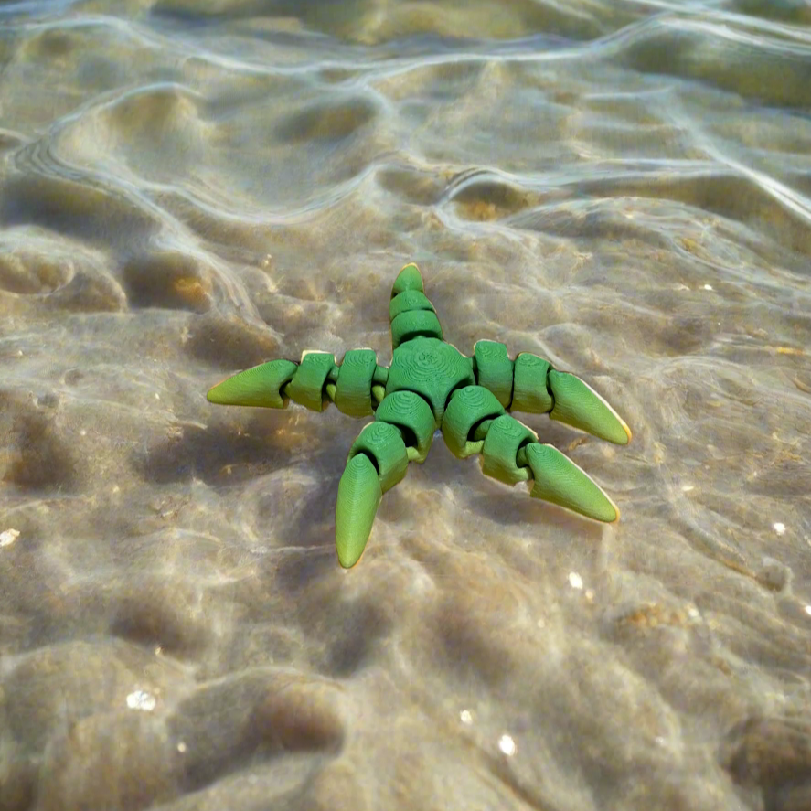 Tiny Starfish