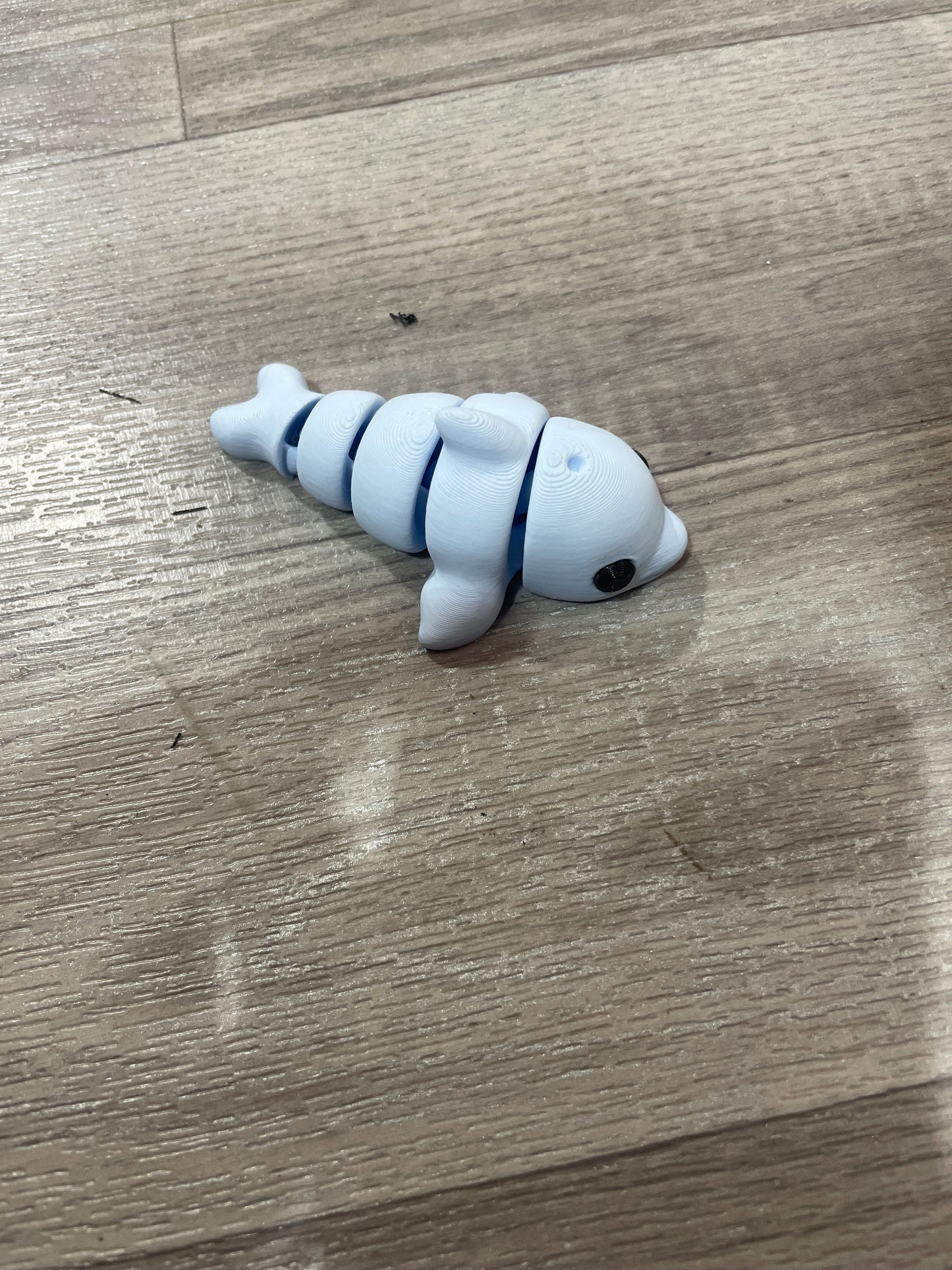 Tiny Dolphin