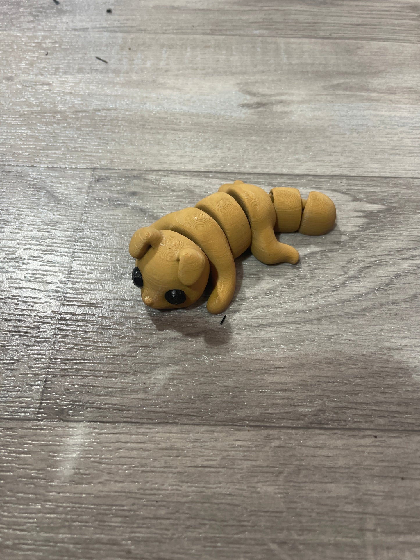 Tiny Dog
