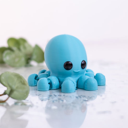 Baby Octopus