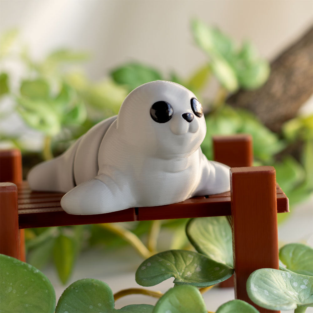 Baby Seal
