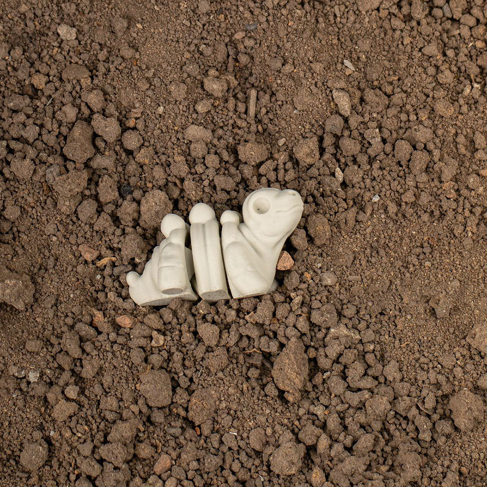 Baby Stegosaurus Skeleton