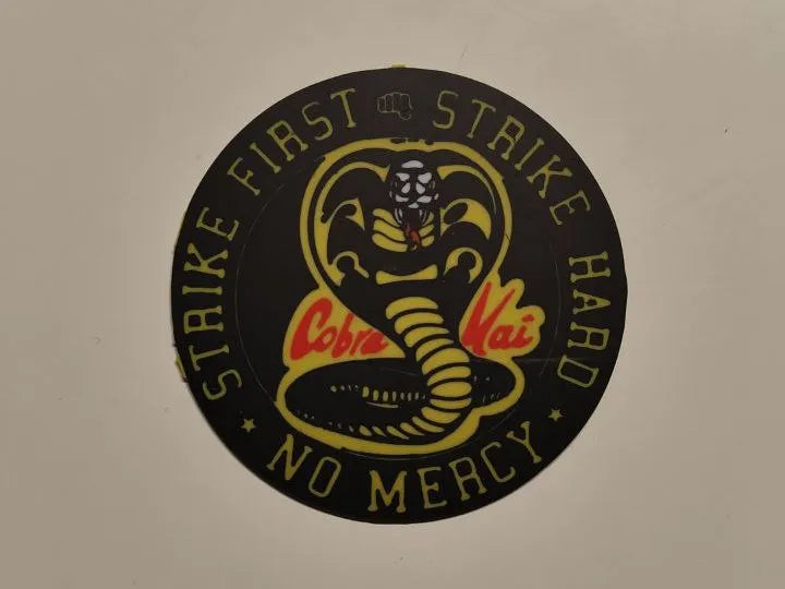 Cobra Kai Coaster
