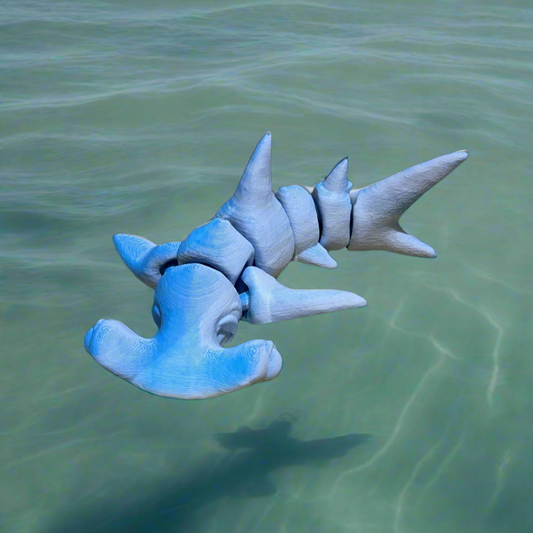 Tiny Hammerhead