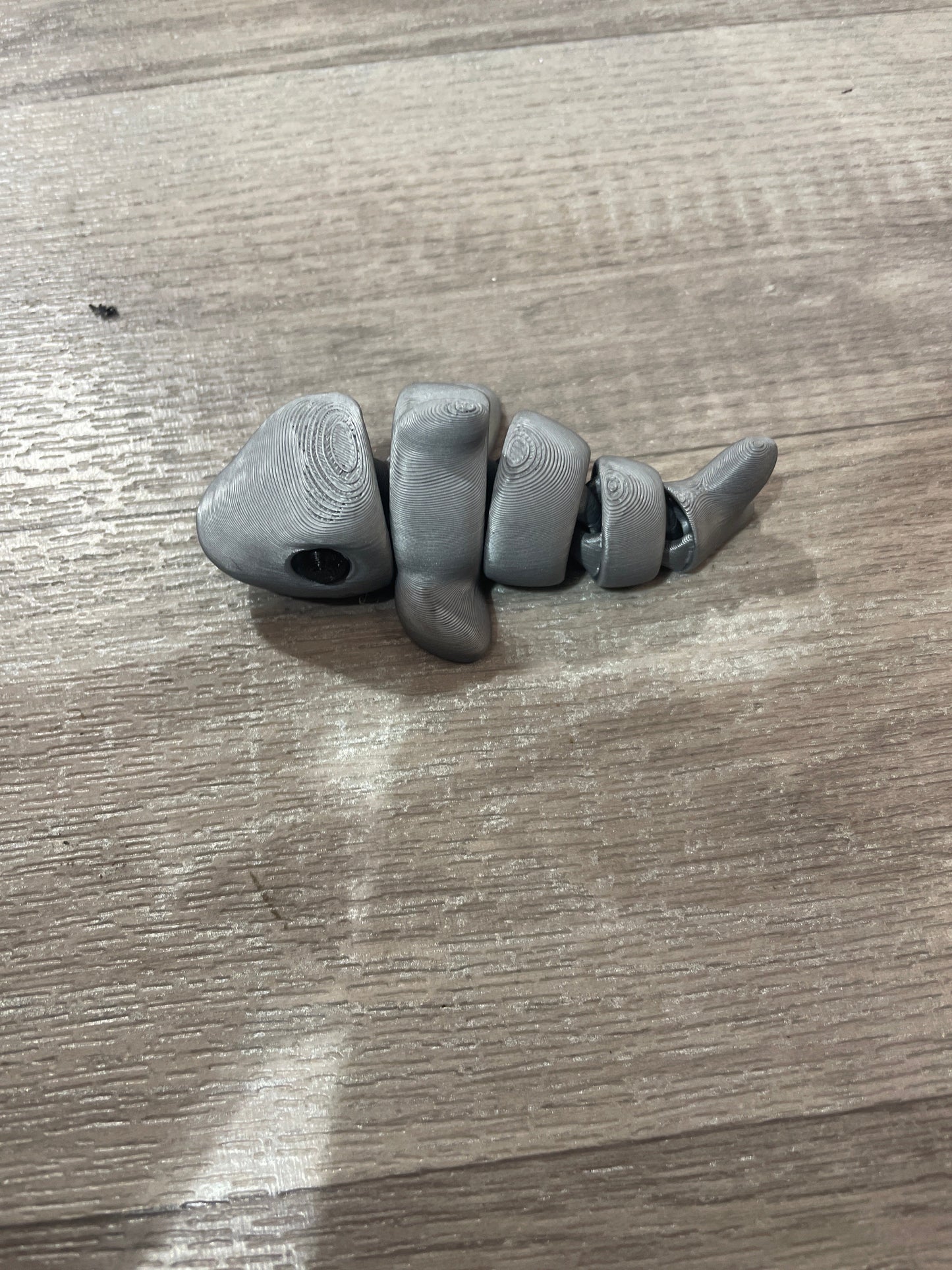 Tiny Shark