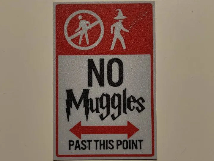 No Muggles Wall Art