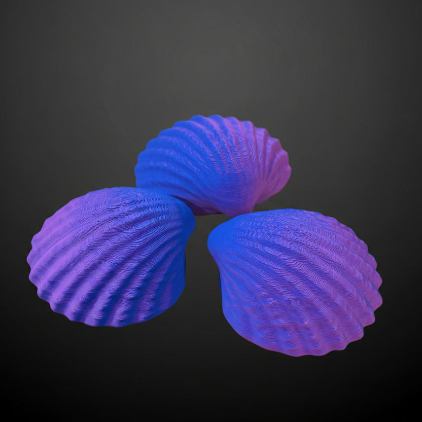 Shell