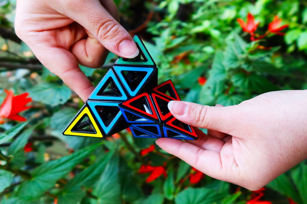Two hands holding a Rubik's cube-like puzzle against a green leafy background with red flowers.