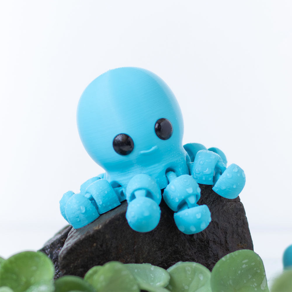 Baby Octopus