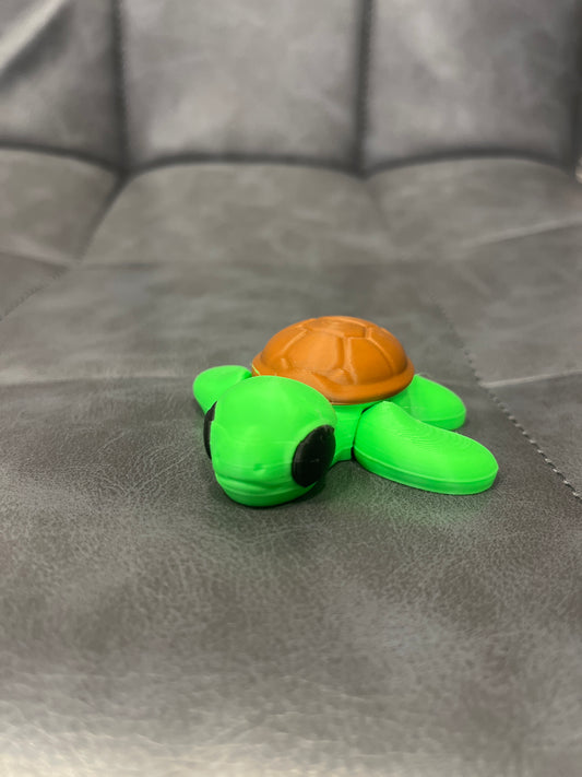Baby Turtle