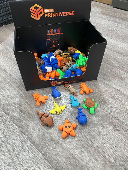 Ocean Bundle