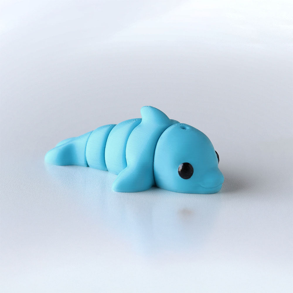Baby Dolphin