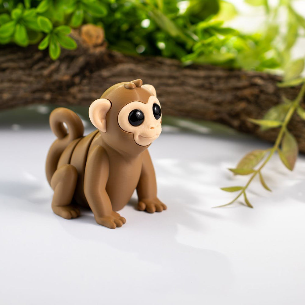 Baby Monkey