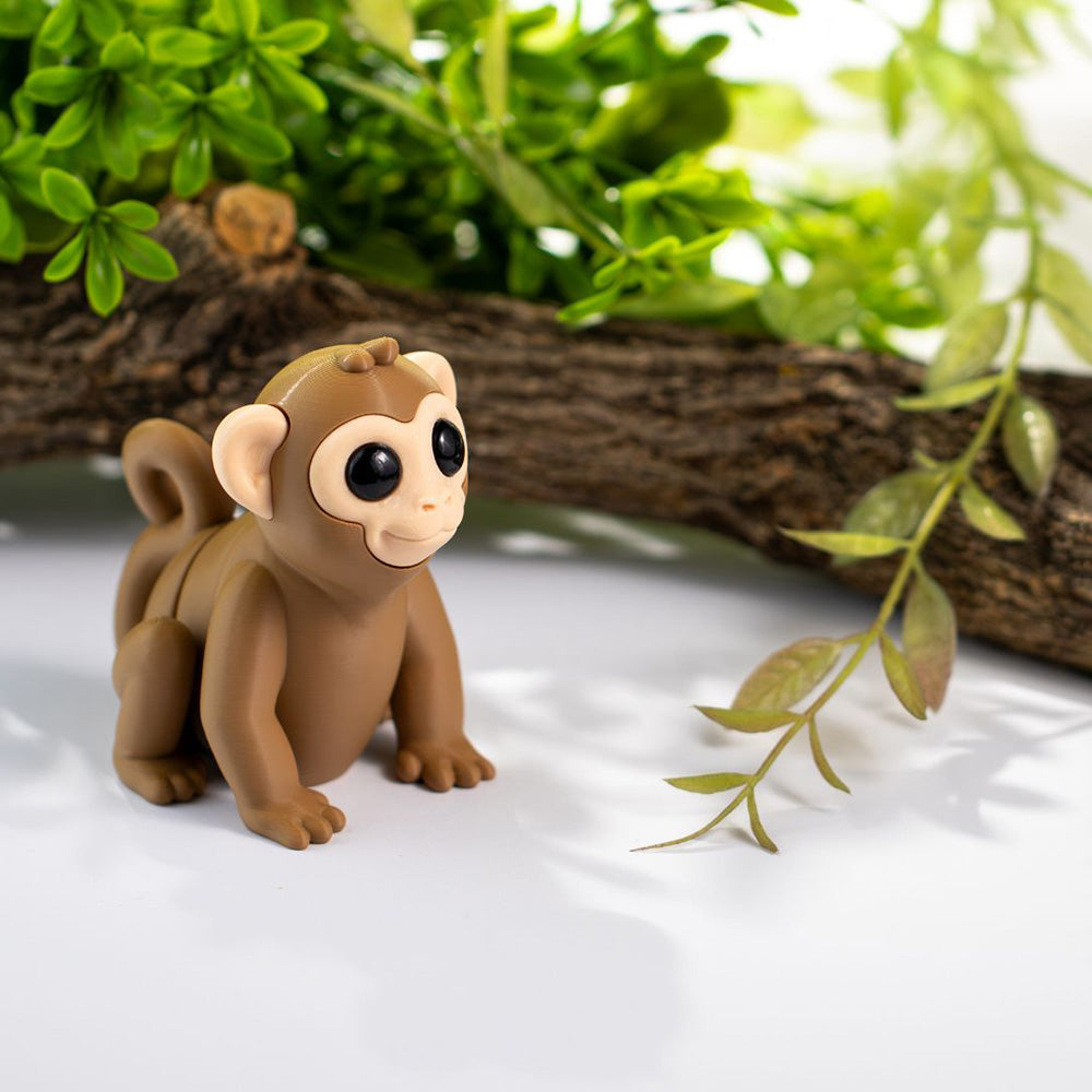 Baby Monkey