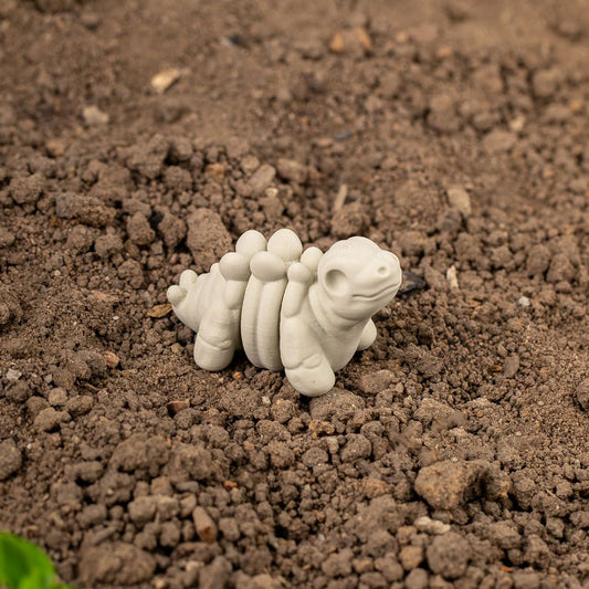Baby Stegosaurus Skeleton