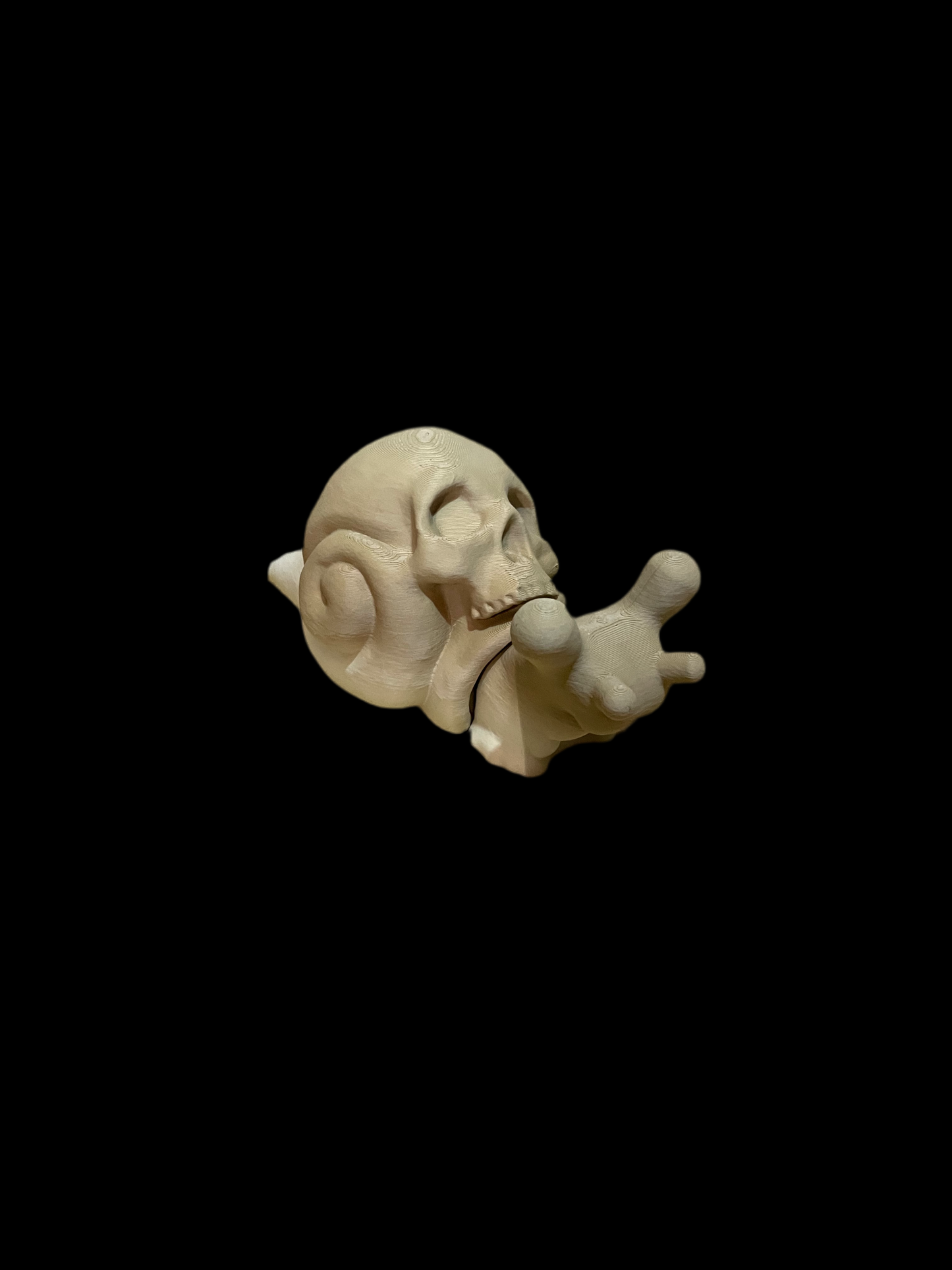 Skull Snail