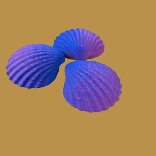 Shell